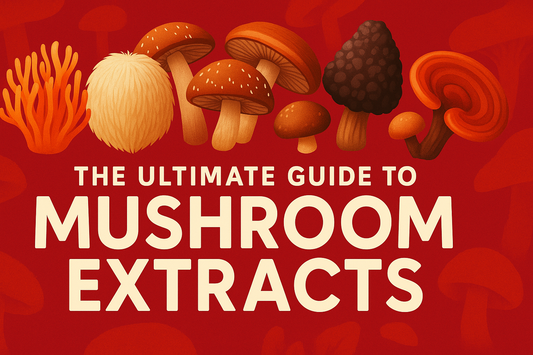 The Ultimate Guide to Mushroom Extracts: Benefits, Types & How They Work