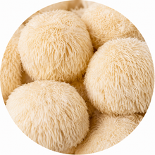 Lion's Mane
