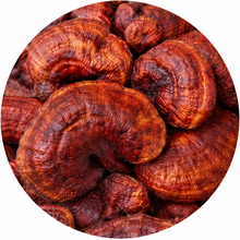 Reishi