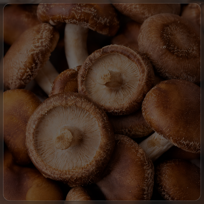 Shiitake