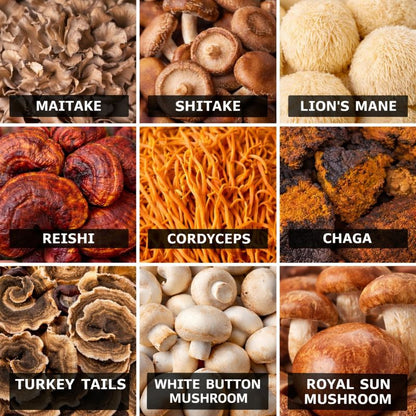 High Grade Mushroom Complex