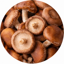 Shiitake