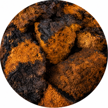 Chaga